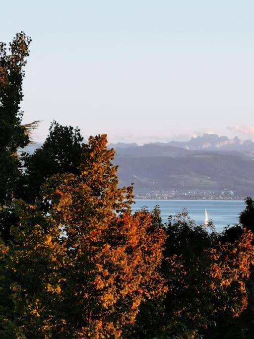 Wohnen Direkt Am Uferpark Mit Grossem Balkon Und Seeblick Friedrichshafen Luaran gambar